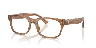6138 Shiny Tortoise