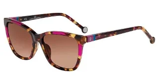 Tortoise Purple 0Aen