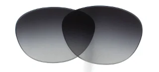 Dolce & Gabbana Replacement Lenses DG6110