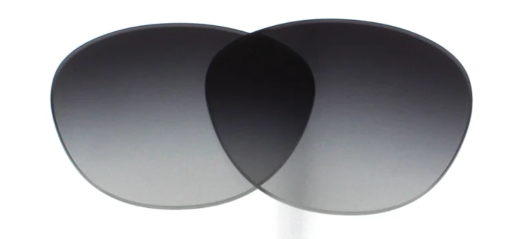 Dolce & Gabbana Replacement Lenses DG6110