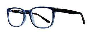 Blue Tortoise
