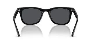 Ray Ban Sunglasses RB4420