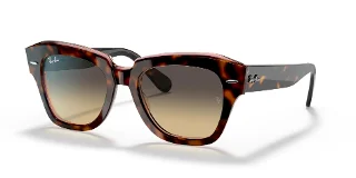 1324BG Havana On Transparent Pink