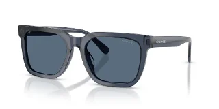 597280 Transparent Blue