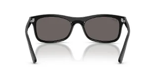 Ray Ban Sunglasses RB2226F