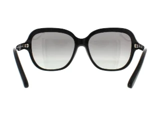 Coach Sunglasses HC8192 L1613
