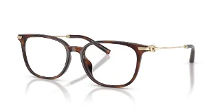 5120 Dark Tortoise