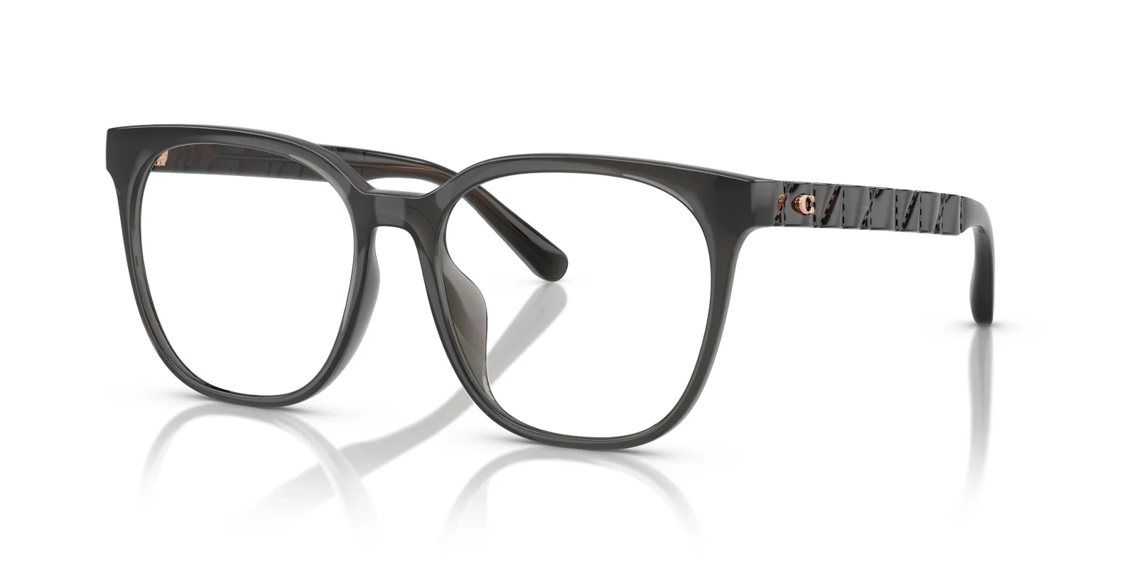 Coach Eyeglasses HC6267D