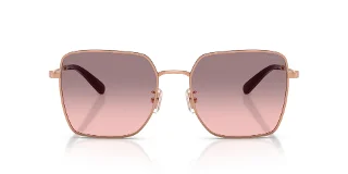Coach Sunglasses HC7184D