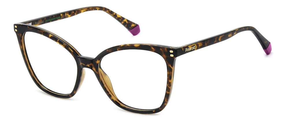 Polaroid Eyeglasses PLD D579