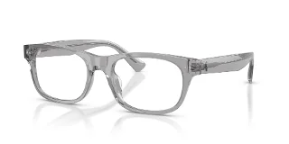6317 Shiny Transparent Grey