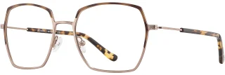 C01 Bronze