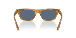 Polo Sunglasses PH4238U