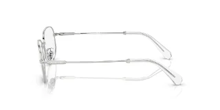 Swarovski Eyeglasses SK1005