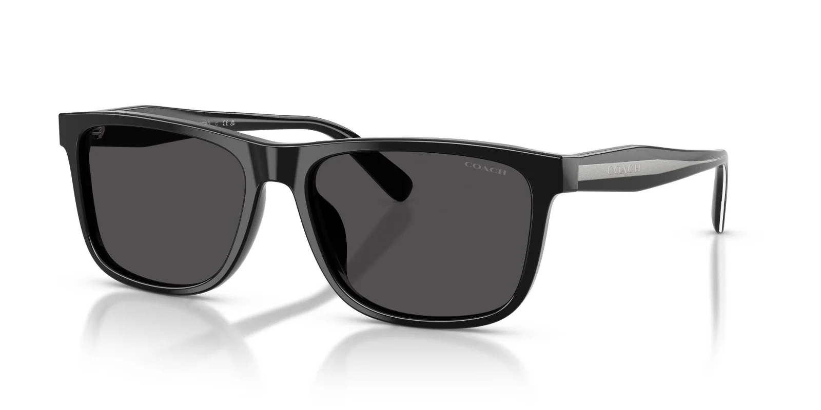 Coach Sunglasses HC8454U