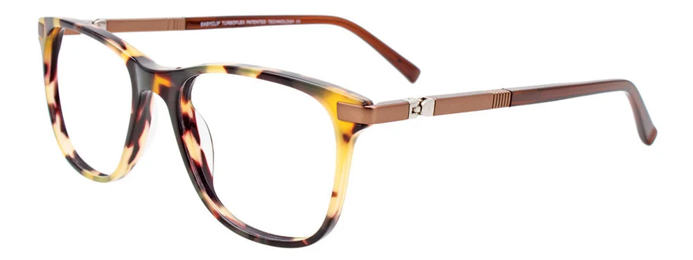 Easyclip Eyeglasses EC555