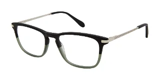 BLACK OLIV