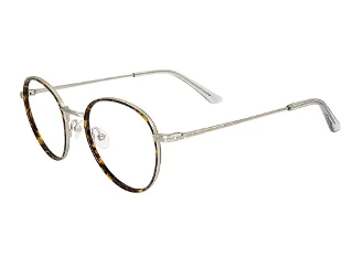 C2 Tortoise/Silver