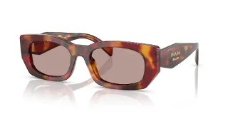 22A20I Poppy Tortoise