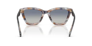 Coach Sunglasses HC8464U