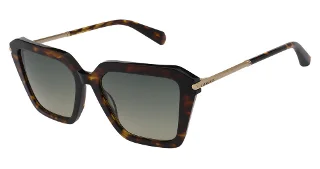 155-Als-5038 Sun Gwen Dark Tortoiseshell