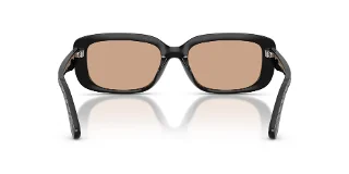 Coach Sunglasses HC8444D
