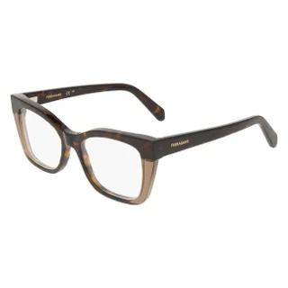 244 Dark Tortoise/Brown