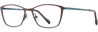 C02 Chocolate/Turquoise