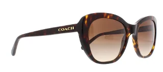 Coach Sunglasses HC8204 L1631