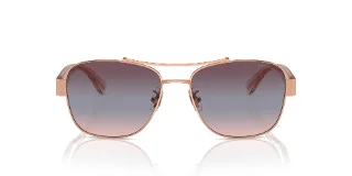 Coach Sunglasses HC7161