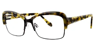024 Tortoise