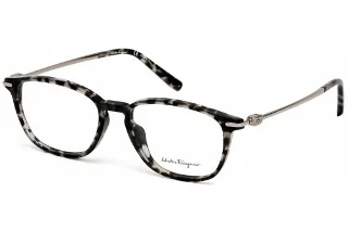 Salvatore Ferragamo Eyeglasses SF2816