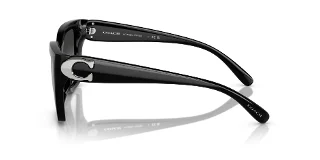 Coach Sunglasses HC8408U