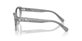 Swarovski Eyeglasses SK2023