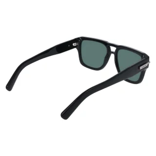 Salvatore Ferragamo Sunglasses SF2070S