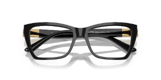 Jimmy Choo Eyeglasses JC3028F
