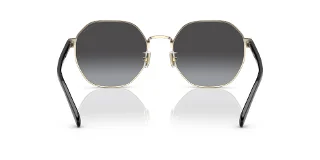 Coach Sunglasses HC7147