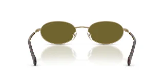 Emporio Armani Sunglasses EA2175