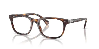 6137 Shiny Brown Tortoise