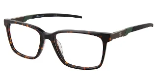 C02 Tortoise