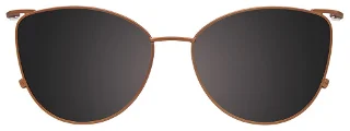Easyclip Eyeglasses EC673