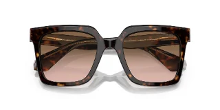 Giorgio Armani Sunglasses AR8156