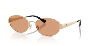 900584 Shiny Light Gold