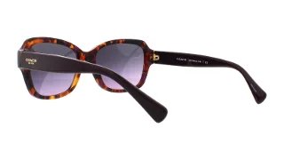 Coach Sunglasses HC8160 L145