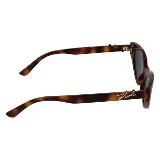 Karl Lagerfeld Sunglasses KL6248S