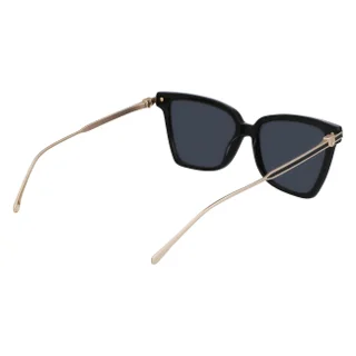 Salvatore Ferragamo Sunglasses SF2036S