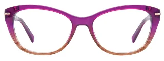 Easyclip Eyeglasses EC425
