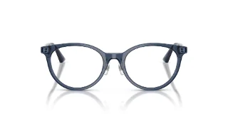 Jimmy Choo Eyeglasses JC3039D