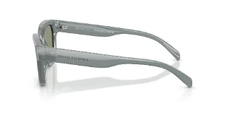 Armani Exchange Sunglasses AX4155SU