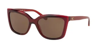 Coach Sunglasses HC8261